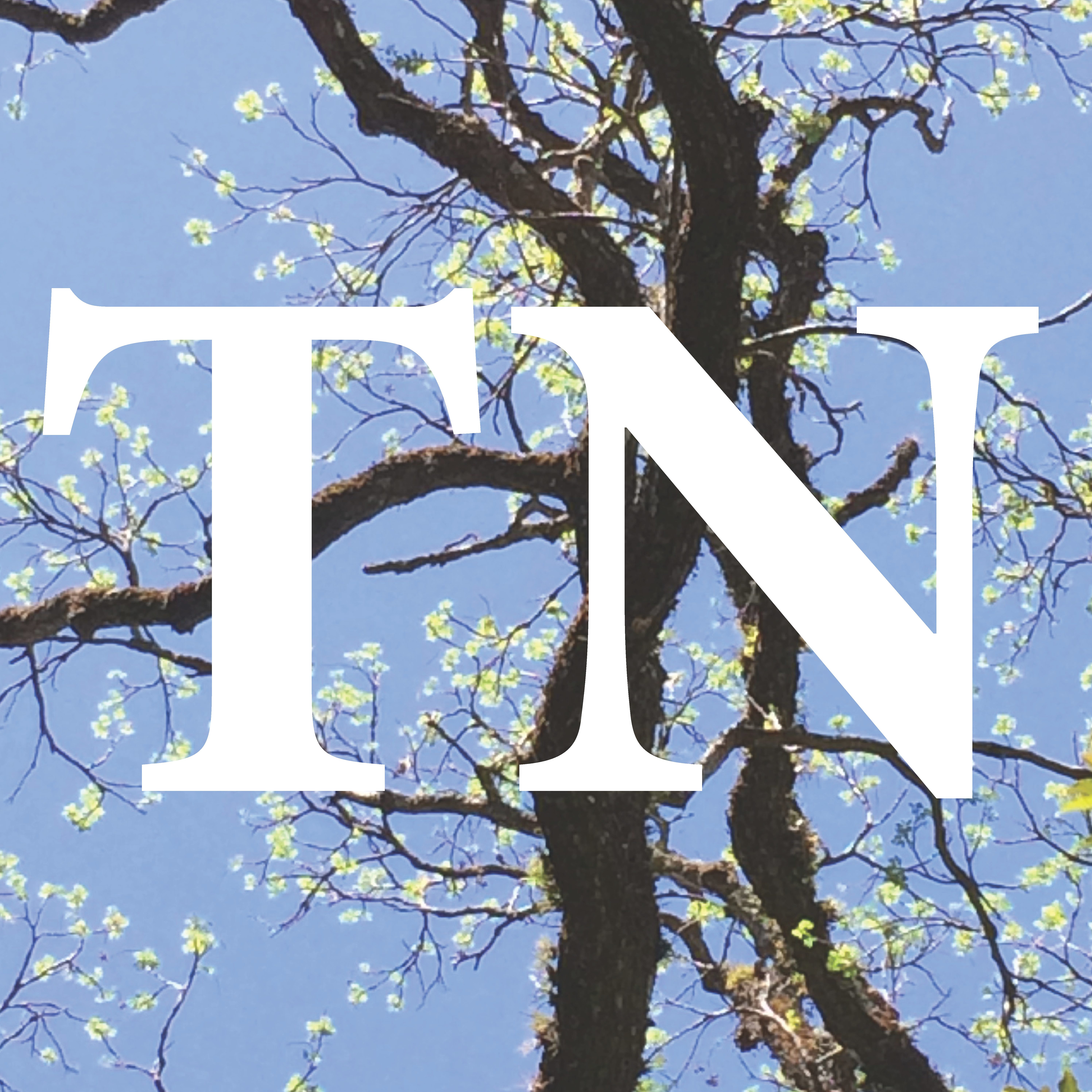 Twyckenham Notes Overview